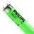 Philips MASTER TL - D 36W - 10000K Luce del Giorno | 120cm