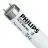 Philips MASTER TL - D Super 80 36W - 865 Luce del Giorno | 120cm