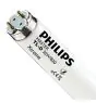 Philips MASTER TL - D Xtreme 36W - 830 Luce Calda | 120cm