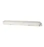 Ledvance Stagna LED Stagna 21W 2835lm - 865 Luce Del Giorno | 60cm - Sostitutiva 2x18W