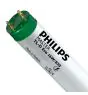 Philips MASTER TL - D ECO 16W - 830 Luce Calda | 60cm