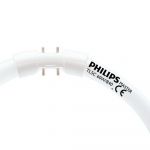 Philips MASTER TL5C Circolare 60W - 840 Bianco Freddo | 38cm