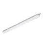 Philips Stagna LED CoreLine WT120C G2 42.9W 5700lm - 840 Bianco Freddo | 150cm 