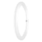 Ledvance Tubo LED T9 Value Circolare (EM/Mains) 18.3W 2200lm - 840 Bianco Freddo | Sostitutiva 32W