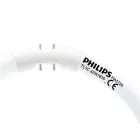Philips MASTER TL5C Circolare 60W - 830 Luce Calda | 38cm