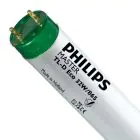 Philips MASTER TL - D ECO 32W - 865 Luce del Giorno | 120cm