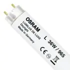 Osram Lumilux De Luxe T8 36W - 965 Luce del Giorno | 120cm