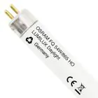 Osram Lumilux T5 FQ HO 54W - 865 Luce del Giorno | 115cm