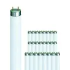 Confezione Multipack 25x Philips MASTER TL-D Super 80 15W - 840 Bianco Freddo | 44cm