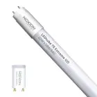 Noxion Tubo LED T8 Avant Extreme (EM/Mains) Ultra Output 20.6W 3300lm - 840 Bianco Freddo | 150cm - Sostitutiva 58W